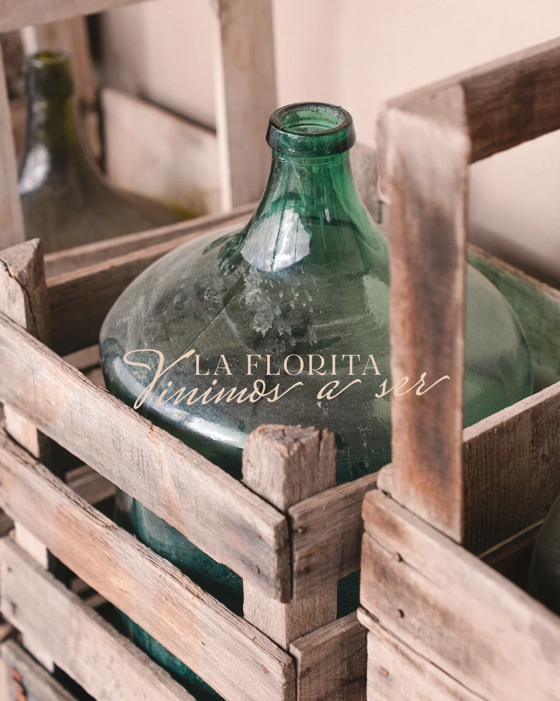 Detalle arquitectónico de Bodega La Florita